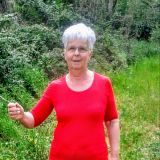 Photo de profil de Marie-Dominique Piraube