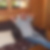 Photo de profil de Lucien Hamann