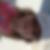 Photo de profil de Louisa Wille