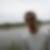 Photo de profil de Hugo Boucher