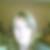 Photo de profil de Natacha Masson
