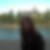 Photo de profil de Jennifer Vincent