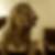 Photo de profil de Jessica Schwaller