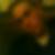 Photo de profil de Yohann Ballon