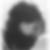Photo de profil de Anne Giboire