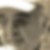Photo de profil de Pierre Mouttet