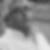 Photo de profil de Laurent Boy