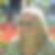 Photo de profil de Jessie Kretzo