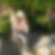 Photo de profil de Nicole Weigerding
