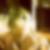 Photo de profil de Elise Gandjaay