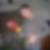 Photo de profil de Fabien Bourquard