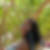 Photo de profil de Christelle Elisabeth