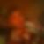 Photo de profil de Allan Le Batard