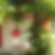 Photo de profil de Marie France Allemagne