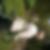 Photo de profil de Maryse Coignard