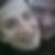 Photo de profil de Cyrille Herby