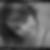 Photo de profil de Solange Beaussart
