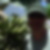 Photo de profil de Ali Taffath