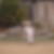 Photo de profil de Gabrielle Bourgoin