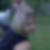 Photo de profil de Laurence Girard