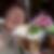 Photo de profil de Marie-Annick Rivallain