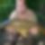Photo de profil de Jerome Meunier