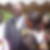 Photo de profil de Samuel Aban