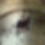 Photo de profil de Frederic Favaloro