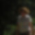 Photo de profil de Anne Pochat