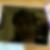 Photo de profil de Boualem Dahes