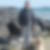 Photo de profil de Thierry Busetta