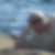 Photo de profil de Christian Dusautois
