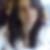 Photo de profil de Laura Le Gourrier
