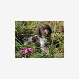 Photo de profil de Henriette Faussurier