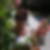 Photo de profil de Nicole Castaing