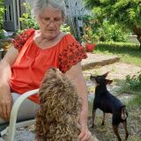 Photo de profil de Chantal Froment