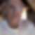 Photo de profil de Pascal Churoux