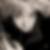 Photo de profil de Renaud Lamotte