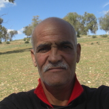 Photo de profil de Kaddour Halaoui
