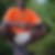 Photo de profil de Steeve Burnet