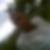 Photo de profil de Claude Pichegrain