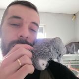 Photo de profil de Antony Ferreira