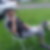 Photo de profil de Yvon Ferey