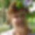 Photo de profil de Evelyne Chastre