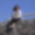 Photo de profil de Bernadette Bosc
