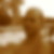 Photo de profil de Franck Debock