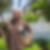 Photo de profil de Patrick Niat
