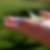 Photo de profil de Flament Rose
