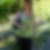 Photo de profil de Yvette Venner