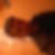 Photo de profil de Kevin Thoumoux